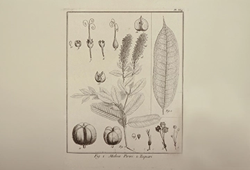 Ouvrage